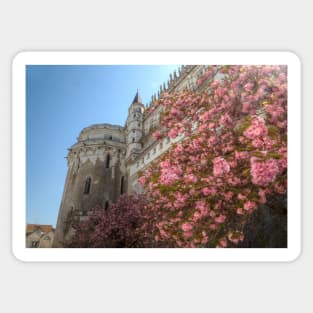 Spring Blossoms at Château d&#39;Amboise Sticker